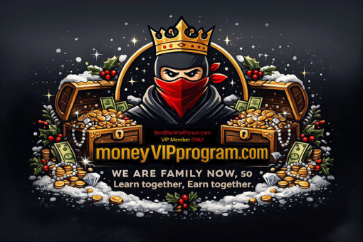 money VIP program